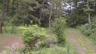長野県菅平高原 ゆたか山荘 坂上 2026/08/20 15:15