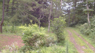 長野県菅平高原 ゆたか山荘 坂上 2026/08/20 15:30