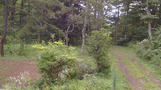 長野県菅平高原 ゆたか山荘 坂上 2026/08/20 15:45