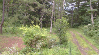 長野県菅平高原 ゆたか山荘 坂上 2026/08/20 16:00