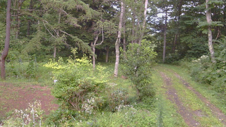 長野県菅平高原 ゆたか山荘 坂上 2026/08/20 16:15
