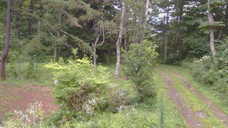 長野県菅平高原 ゆたか山荘 坂上 2026/08/20 16:30