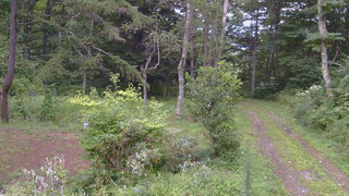 長野県菅平高原 ゆたか山荘 坂上 2026/08/20 16:45