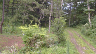 長野県菅平高原 ゆたか山荘 坂上 2026/08/20 17:00