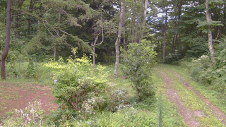 長野県菅平高原 ゆたか山荘 坂上 2026/08/20 17:15