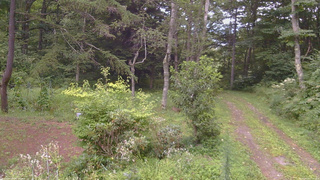 長野県菅平高原 ゆたか山荘 坂上 2026/08/20 17:30