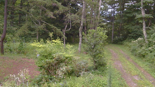 長野県菅平高原 ゆたか山荘 坂上 2026/08/20 17:45
