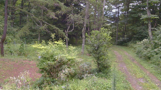長野県菅平高原 ゆたか山荘 坂上 2026/08/20 18:00