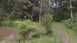 長野県菅平高原 ゆたか山荘 坂上 2026/08/20 18:15