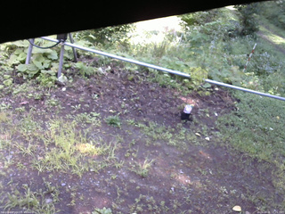 長野県菅平高原 ゆたか山荘 駐車場 2026/08/21 13:15