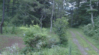 長野県菅平高原 ゆたか山荘 坂上 2026/08/21 05:15
