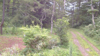 長野県菅平高原 ゆたか山荘 坂上 2026/08/21 06:00