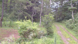 長野県菅平高原 ゆたか山荘 坂上 2026/08/21 06:15