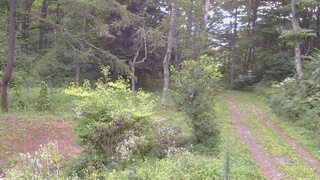 長野県菅平高原 ゆたか山荘 坂上 2026/08/21 06:45