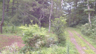 長野県菅平高原 ゆたか山荘 坂上 2026/08/21 07:00