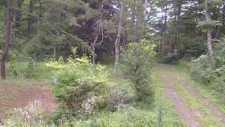 長野県菅平高原 ゆたか山荘 坂上 2026/08/21 07:30