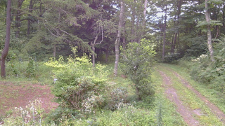 長野県菅平高原 ゆたか山荘 坂上 2026/08/21 07:45