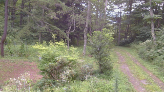 長野県菅平高原 ゆたか山荘 坂上 2026/08/21 08:00