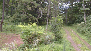 長野県菅平高原 ゆたか山荘 坂上 2026/08/21 08:15