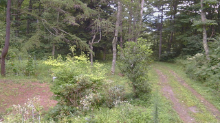 長野県菅平高原 ゆたか山荘 坂上 2026/08/21 08:30