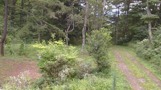 長野県菅平高原 ゆたか山荘 坂上 2026/08/21 08:45