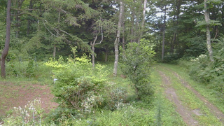 長野県菅平高原 ゆたか山荘 坂上 2026/08/21 09:00