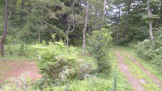 長野県菅平高原 ゆたか山荘 坂上 2026/08/21 09:15