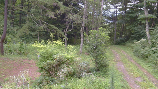 長野県菅平高原 ゆたか山荘 坂上 2026/08/21 09:30