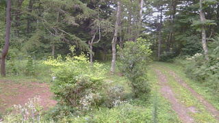 長野県菅平高原 ゆたか山荘 坂上 2026/08/21 09:45