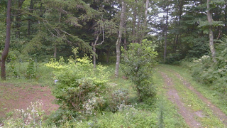 長野県菅平高原 ゆたか山荘 坂上 2026/08/21 10:00