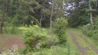 長野県菅平高原 ゆたか山荘 坂上 2026/08/21 10:15