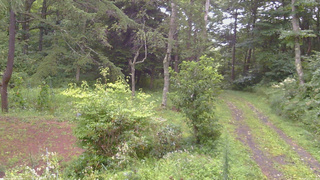 長野県菅平高原 ゆたか山荘 坂上 2026/08/21 10:30