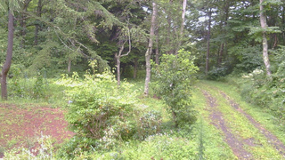 長野県菅平高原 ゆたか山荘 坂上 2026/08/21 10:45