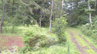 長野県菅平高原 ゆたか山荘 坂上 2026/08/21 11:00