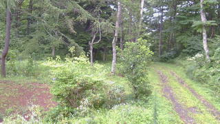 長野県菅平高原 ゆたか山荘 坂上 2026/08/21 11:15