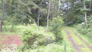 長野県菅平高原 ゆたか山荘 坂上 2026/08/21 11:30