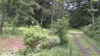 長野県菅平高原 ゆたか山荘 坂上 2026/08/21 11:45