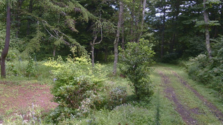 長野県菅平高原 ゆたか山荘 坂上 2026/08/21 12:00