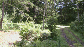 長野県菅平高原 ゆたか山荘 坂上 2026/08/21 12:15