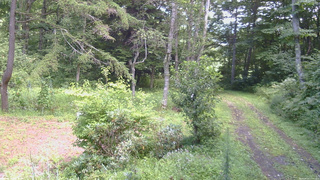 長野県菅平高原 ゆたか山荘 坂上 2026/08/21 13:00