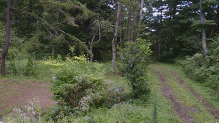 長野県菅平高原 ゆたか山荘 坂上 2026/08/21 13:30