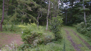 長野県菅平高原 ゆたか山荘 坂上 2026/08/21 13:45