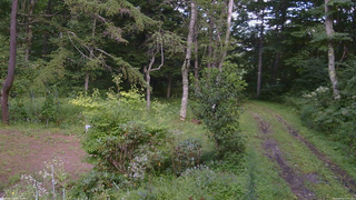 長野県菅平高原 ゆたか山荘 坂上 2026/08/21 14:00