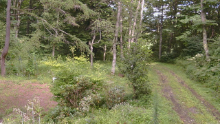 長野県菅平高原 ゆたか山荘 坂上 2026/08/21 14:15