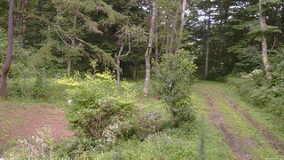 長野県菅平高原 ゆたか山荘 坂上 2026/08/21 14:30