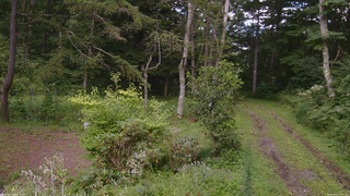 長野県菅平高原 ゆたか山荘 坂上 2026/08/21 14:45