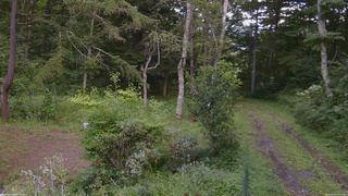 長野県菅平高原 ゆたか山荘 坂上 2026/08/21 15:00