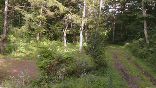 長野県菅平高原 ゆたか山荘 坂上 2026/08/21 15:15