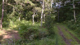 長野県菅平高原 ゆたか山荘 坂上 2026/08/21 15:30