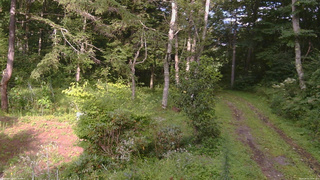 長野県菅平高原 ゆたか山荘 坂上 2026/08/21 16:00
